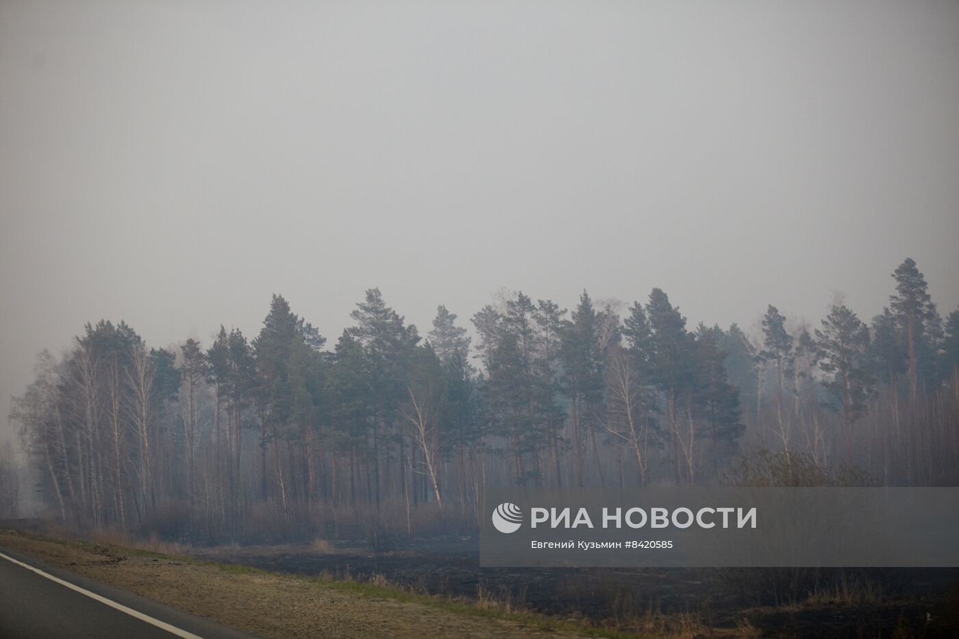 Пожары в Курганской области