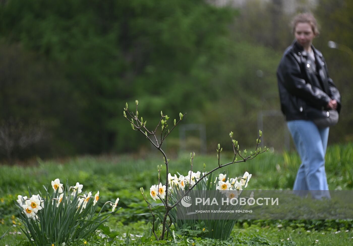 В Москве зацвели деревья и распустились цветы