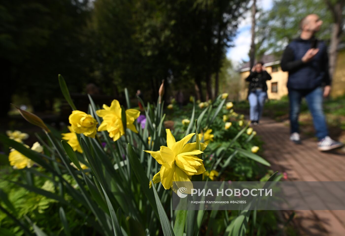 В Москве зацвели деревья и распустились цветы