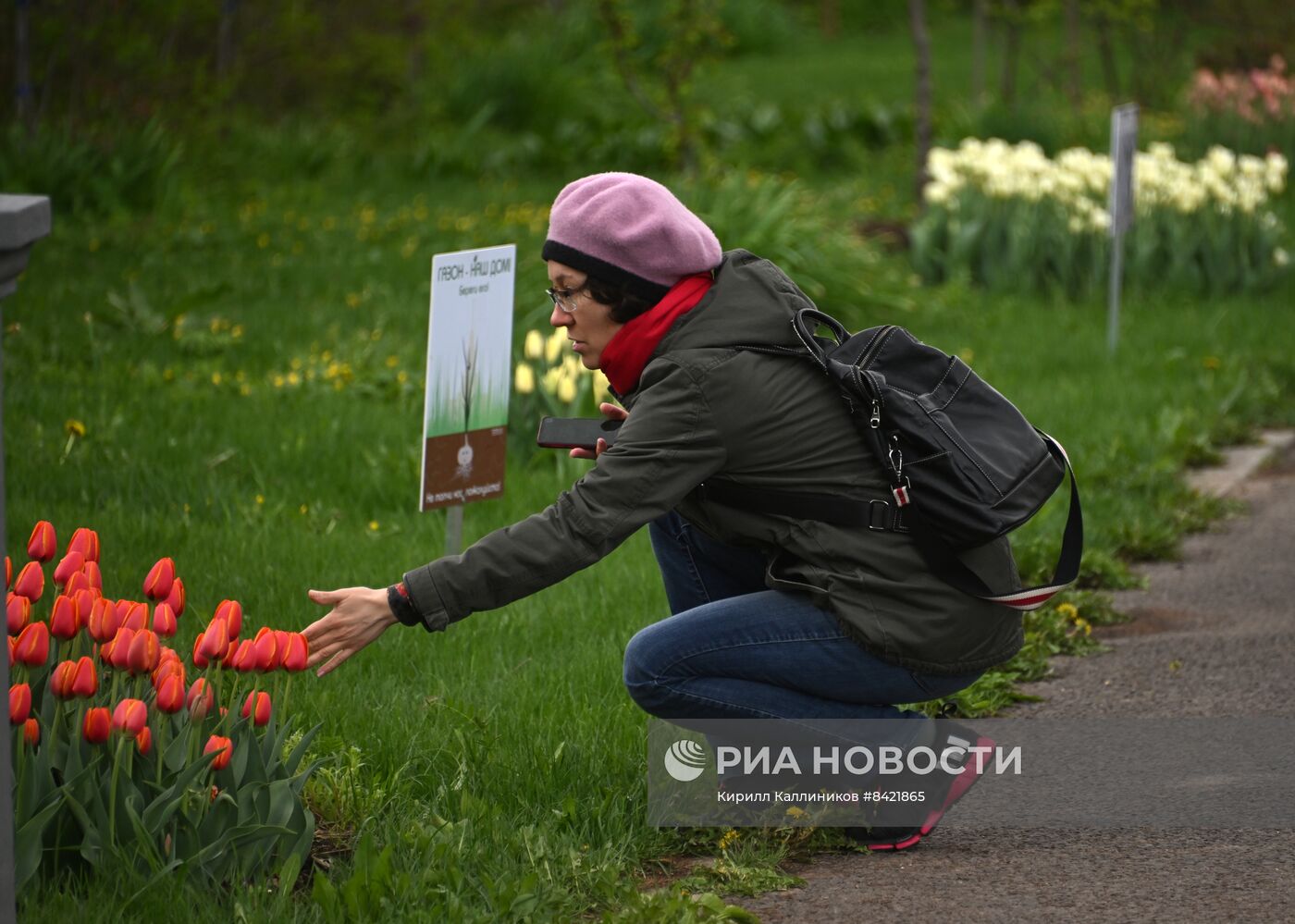 В Москве зацвели деревья и распустились цветы | РИА Новости Медиабанк