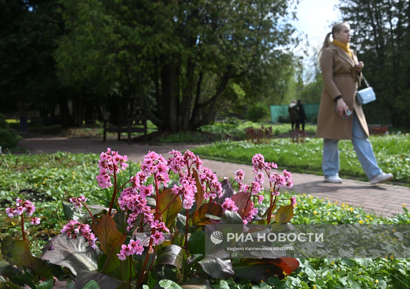 В Москве зацвели деревья и распустились цветы