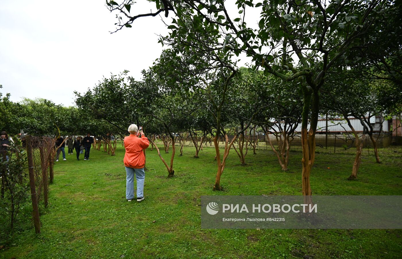 Туристические объекты Абхазии