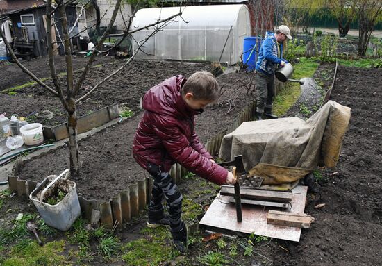 Начало сезона посадочных работ на дачных участках