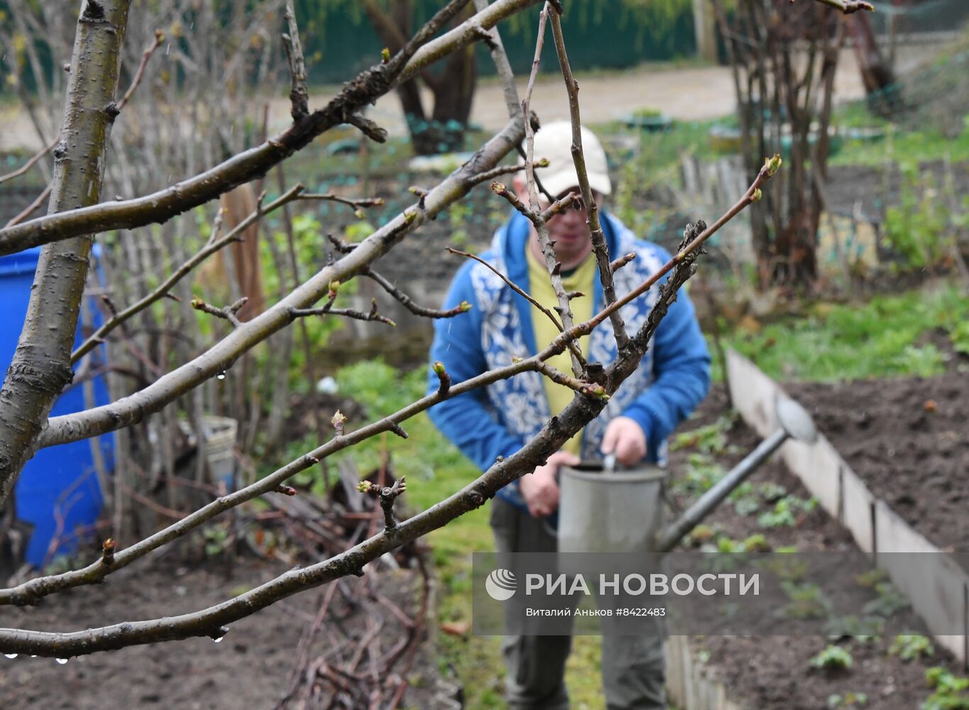 Начало сезона посадочных работ на дачных участках