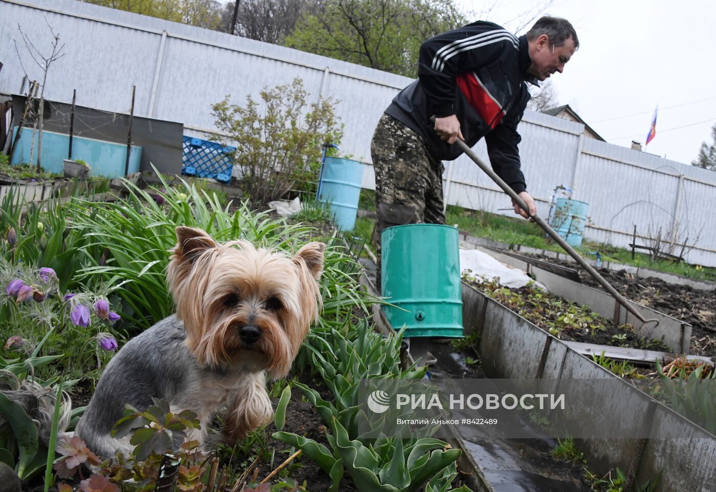 Начало сезона посадочных работ на дачных участках