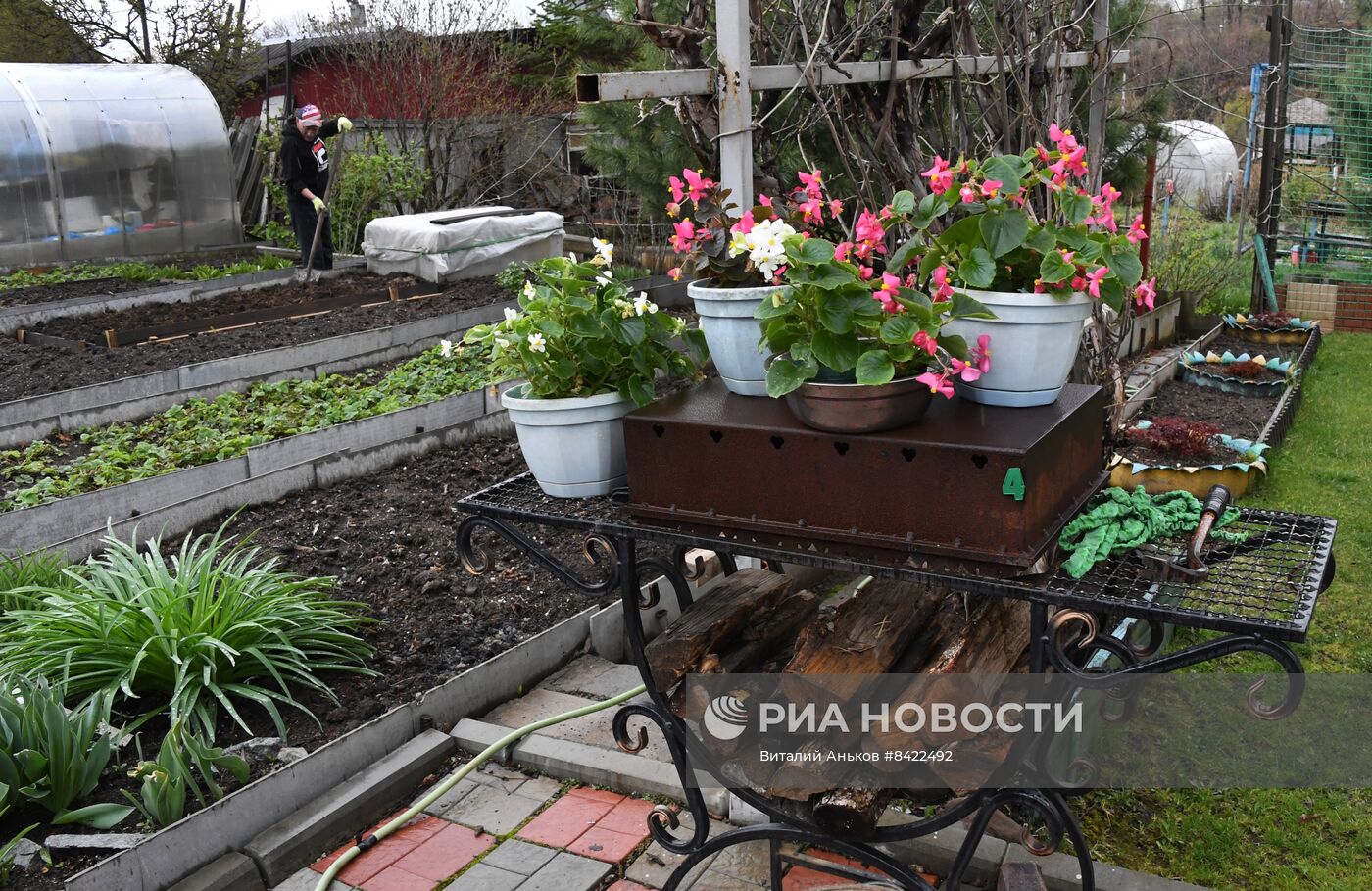 Начало сезона посадочных работ на дачных участках