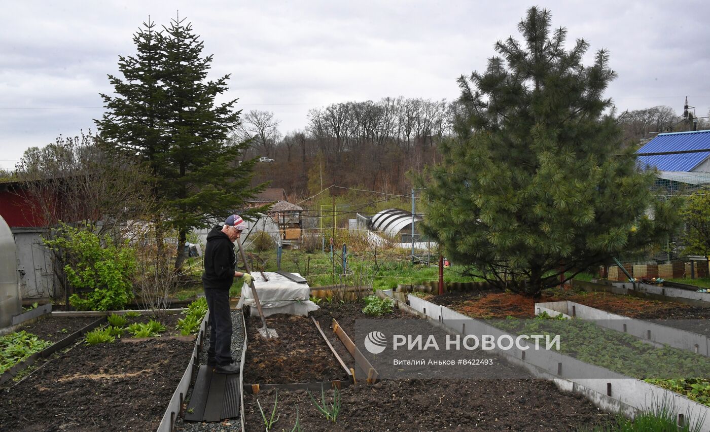 Начало сезона посадочных работ на дачных участках