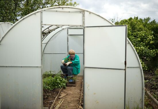 Дачники в Краснодарском крае
