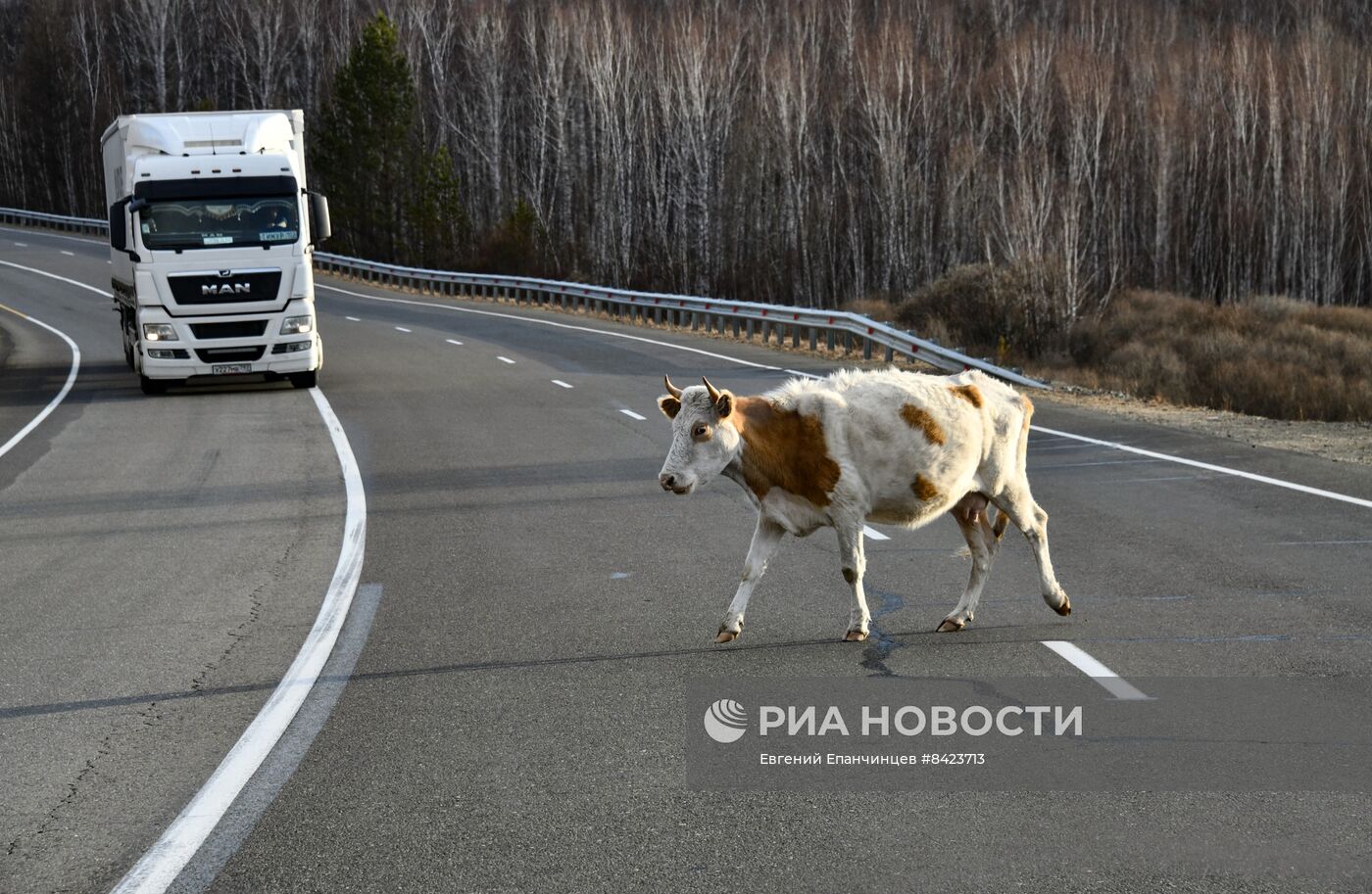 Трасса "Чита-Хабаровск" в Забайкальском крае