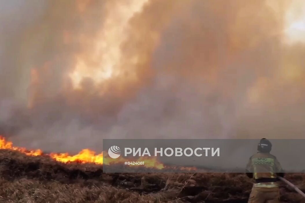 Пожары в Курганской области