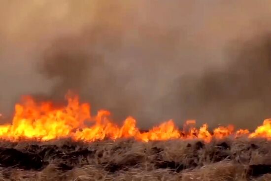 Пожары в Курганской области