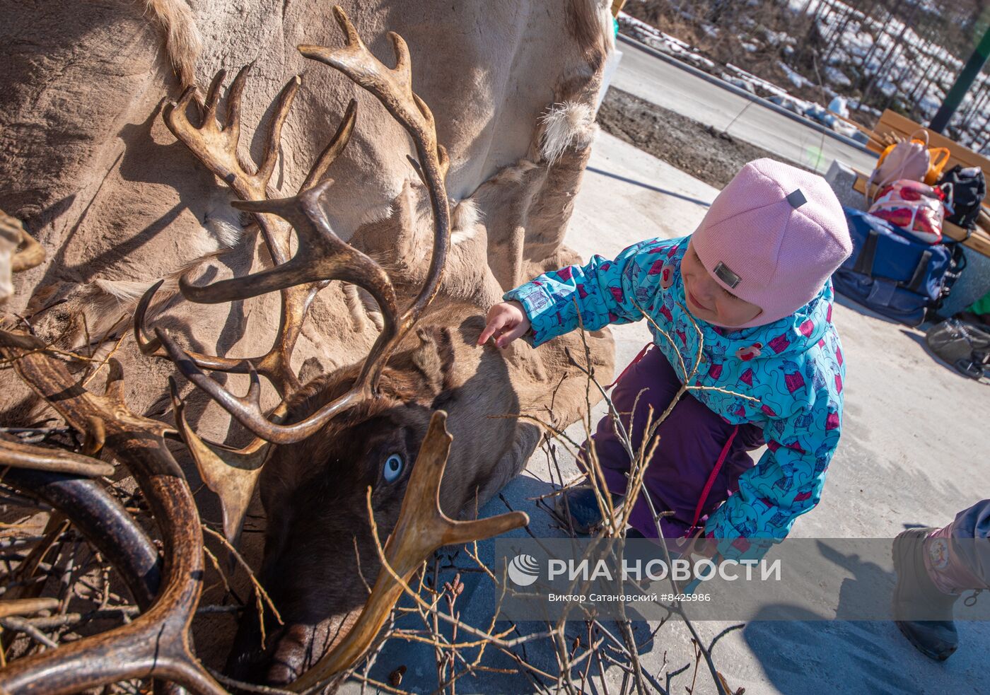 Обрядовый праздник оленей "Кильвэй" в Магадане