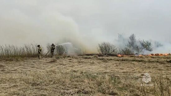 Пожары в Курганской области