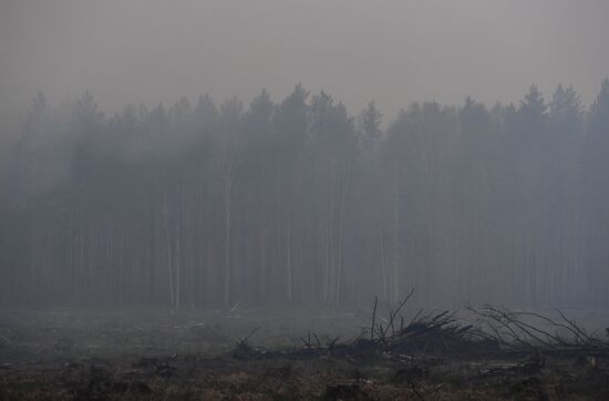 Пожары в Свердловской области