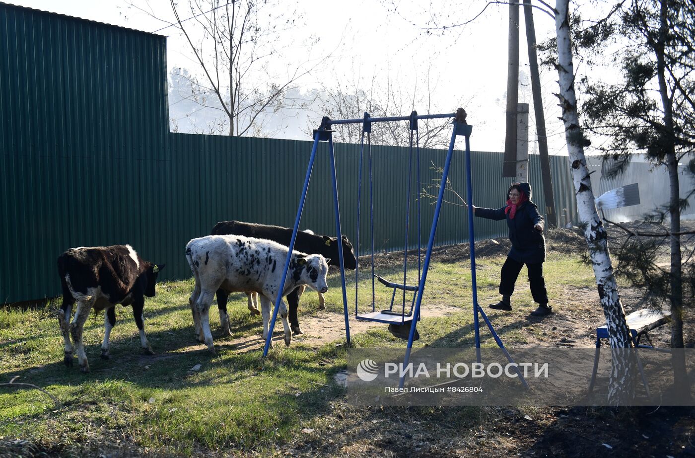 Пожары в Курганской области