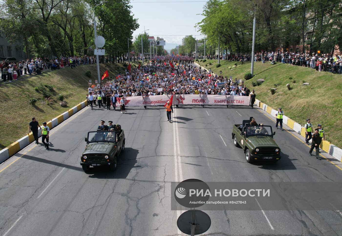 Акция "Бессмертный полк" в странах ближнего зарубежья