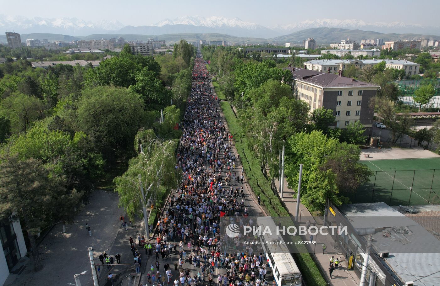 Акция "Бессмертный полк" в странах ближнего зарубежья