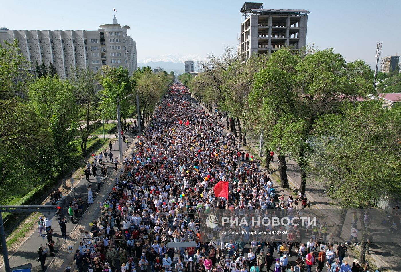 Акция "Бессмертный полк" в странах ближнего зарубежья