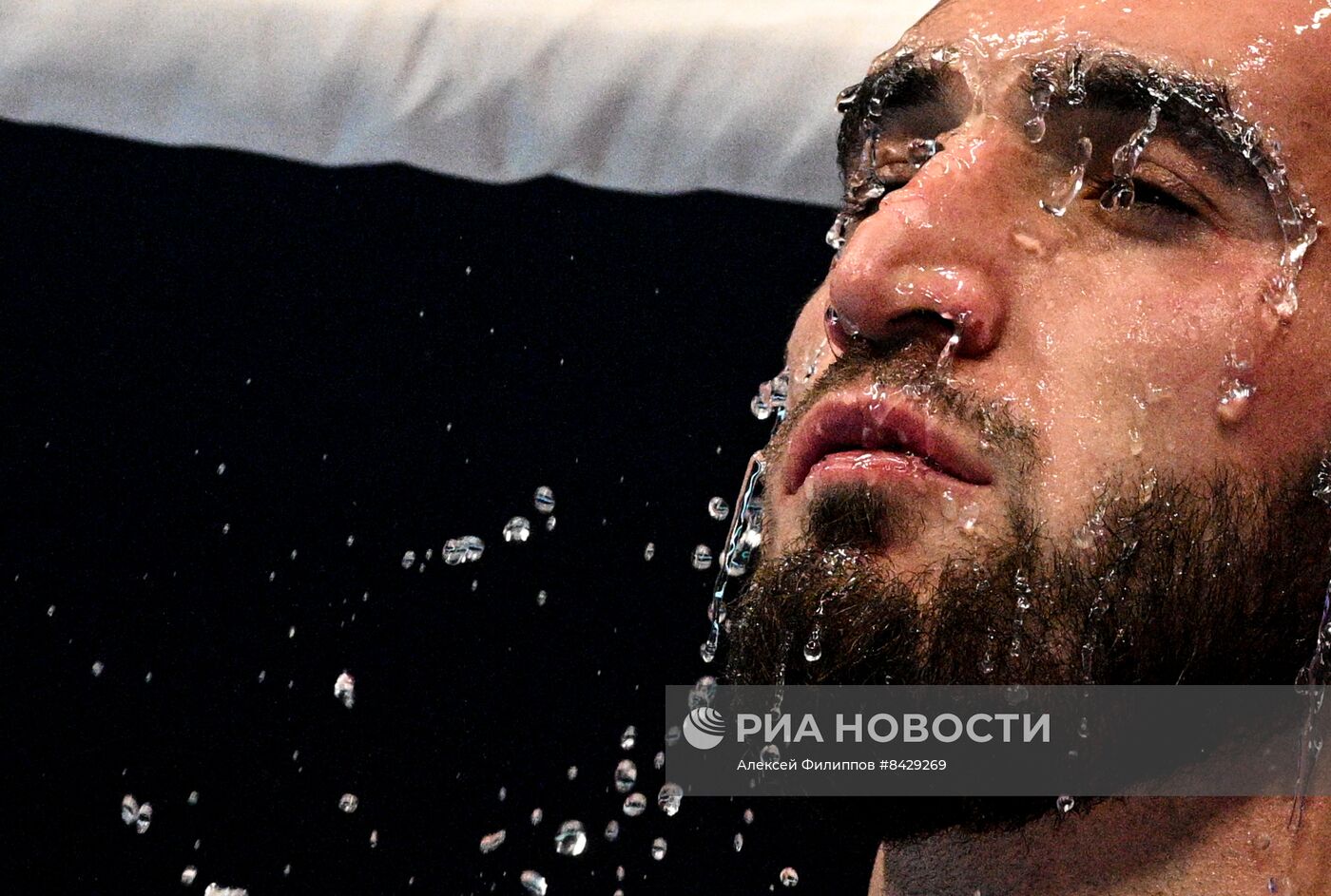 Бокс. Чемпионат мира. Мужчины. Четвертьфиналы