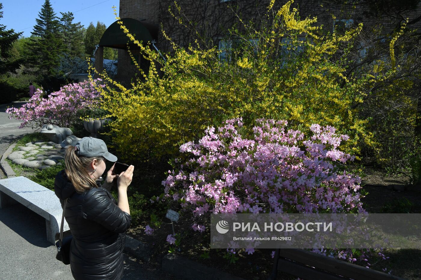 Отдых в Ботаническом саду во Владивостоке