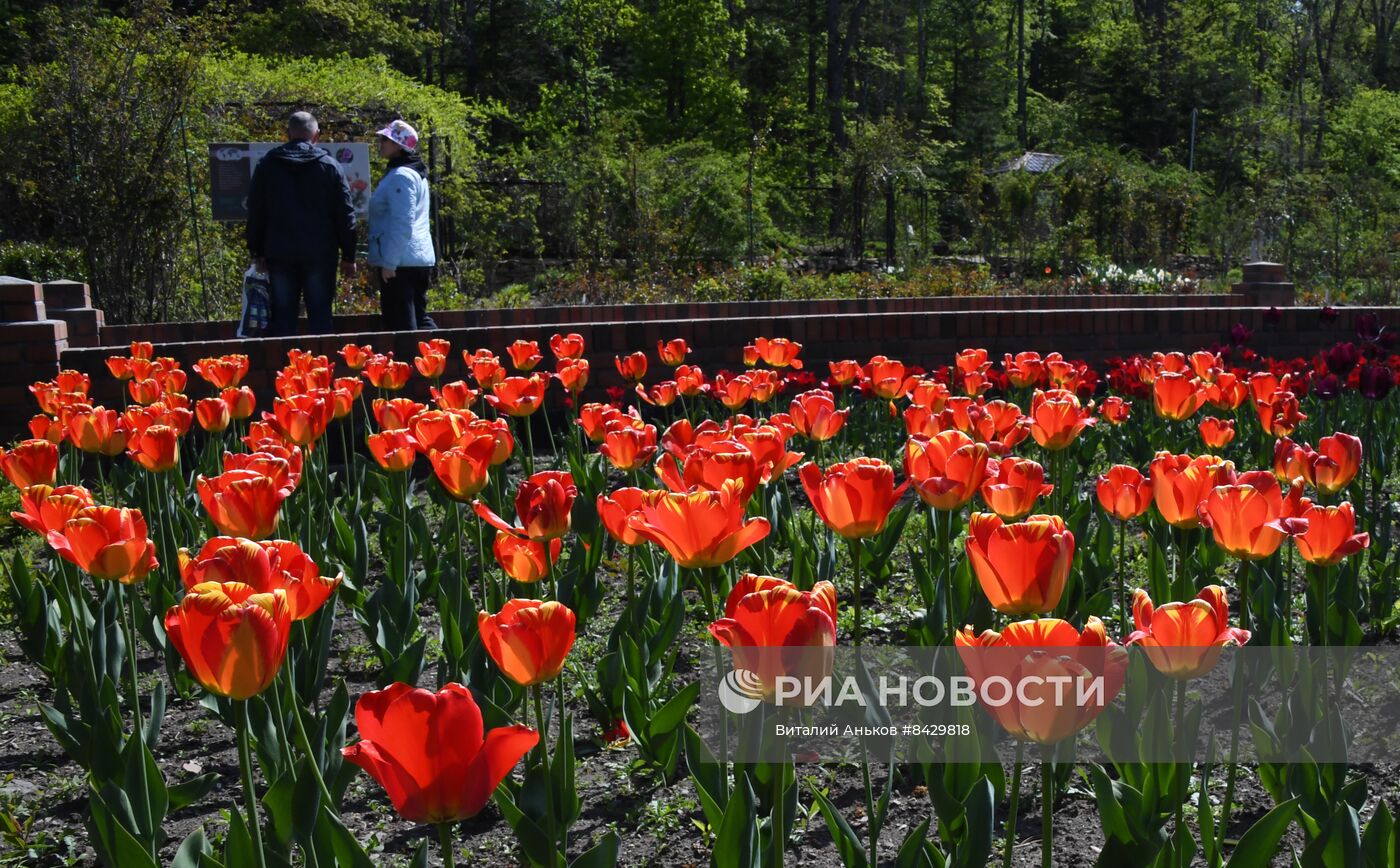 Отдых в Ботаническом саду во Владивостоке