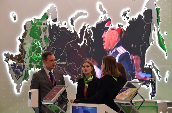 ХI Петербургский международный юридический форум