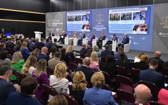 ХI Петербургский международный юридический форум