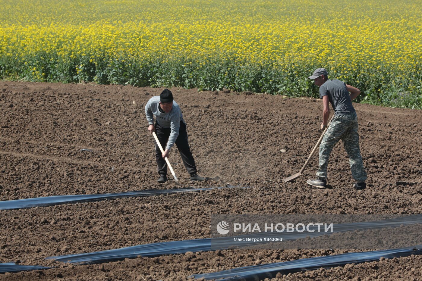 Старт посевных работ в Крыму