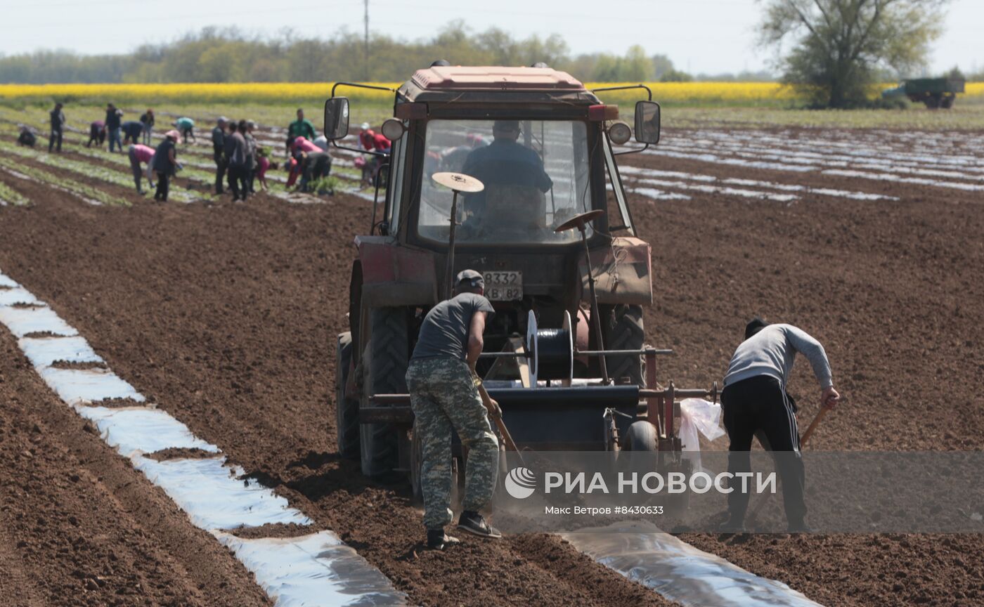 Старт посевных работ в Крыму