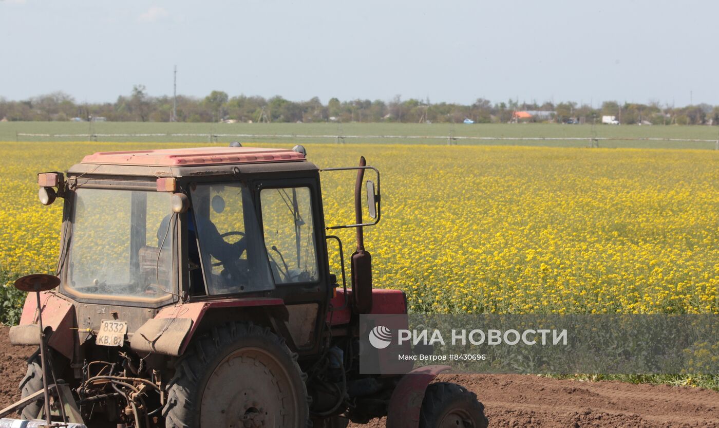 Старт посевных работ в Крыму