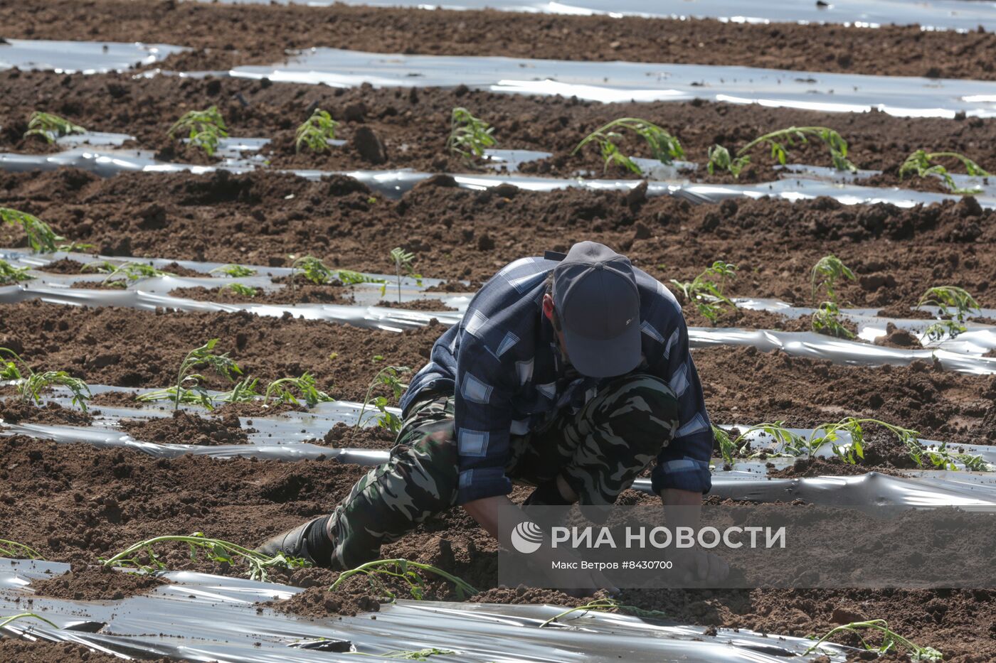 Старт посевных работ в Крыму