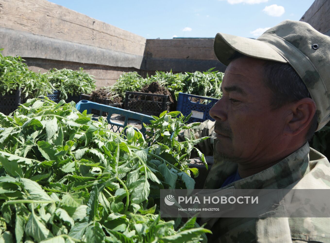 Старт посевных работ в Крыму