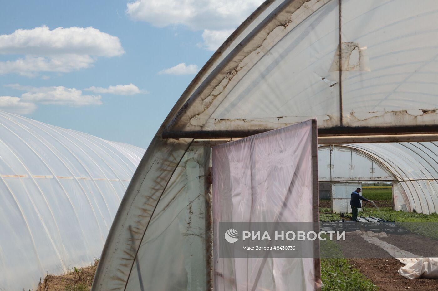 Старт посевных работ в Крыму