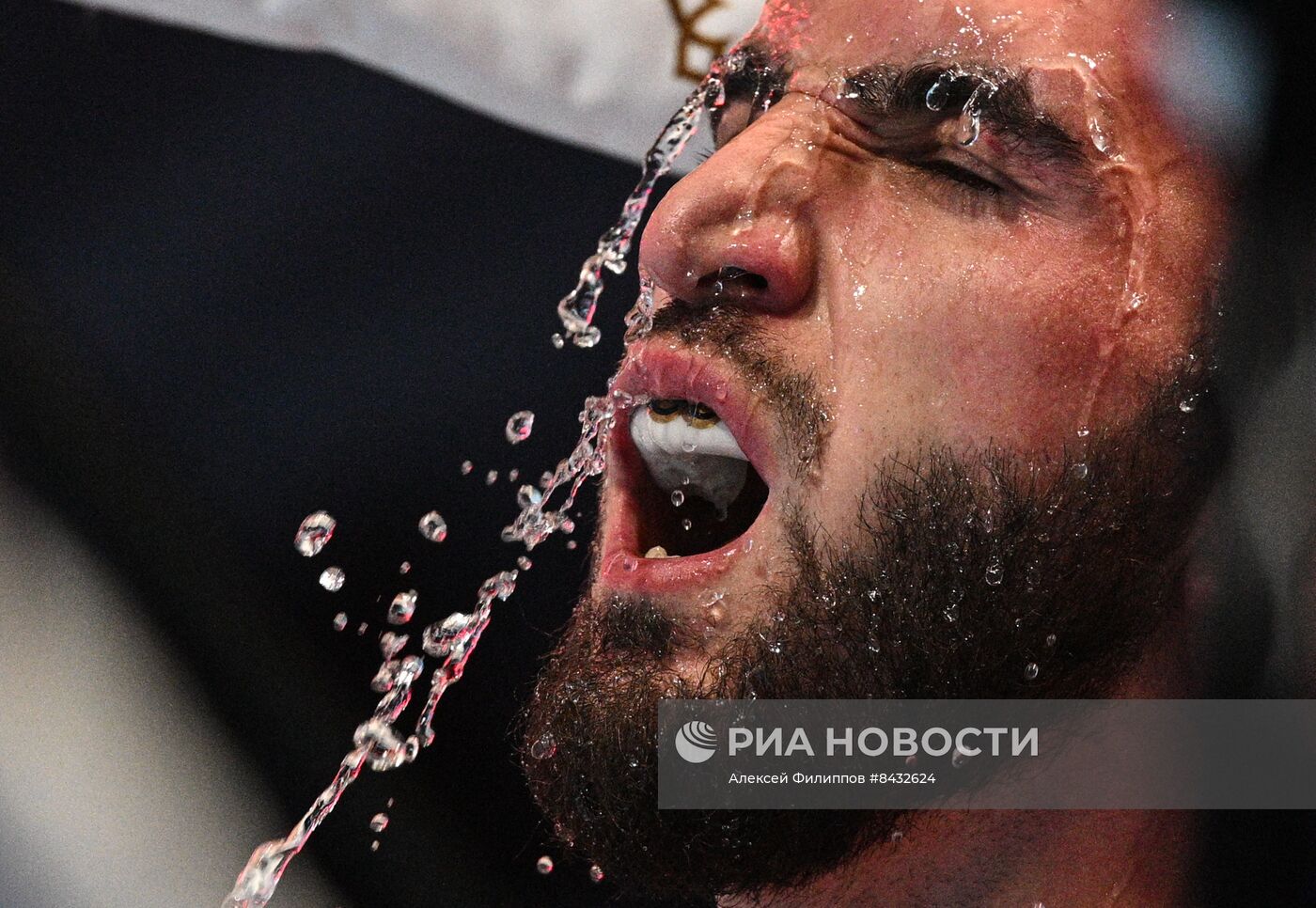 Бокс. Чемпионат мира. Мужчины. Финалы