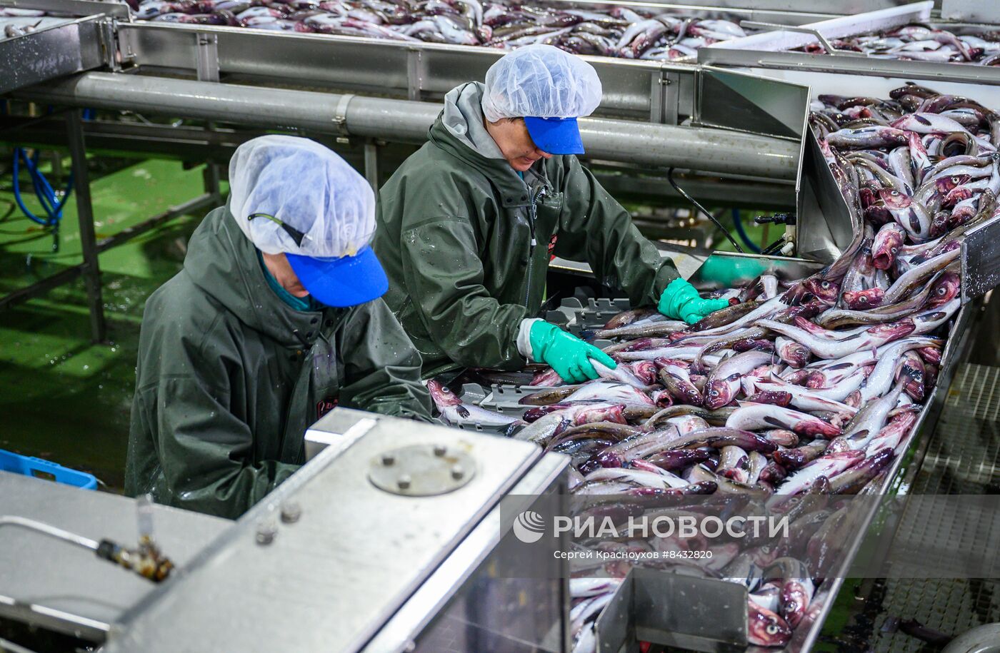 Рыбоперерабатывающий завод на острове Итуруп