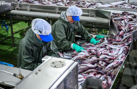 Рыбоперерабатывающий завод на острове Итуруп