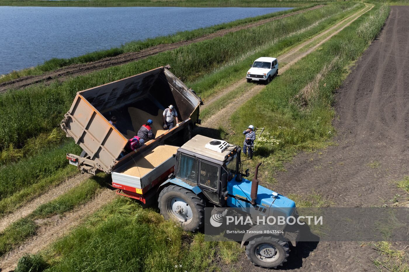 Посевная риса в Краснодарском крае