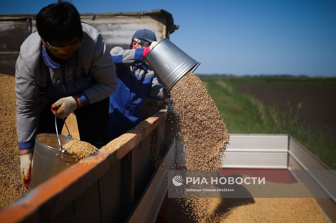 Посевная риса в Краснодарском крае