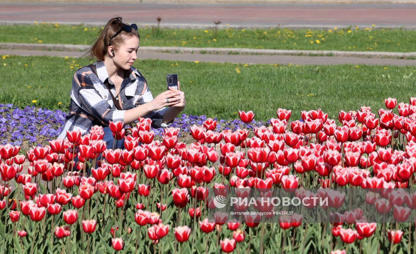 Цветение в Москве 