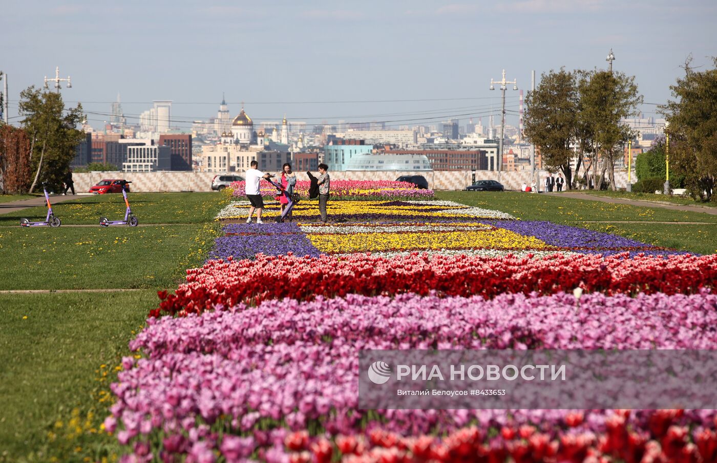 Цветение в Москве 