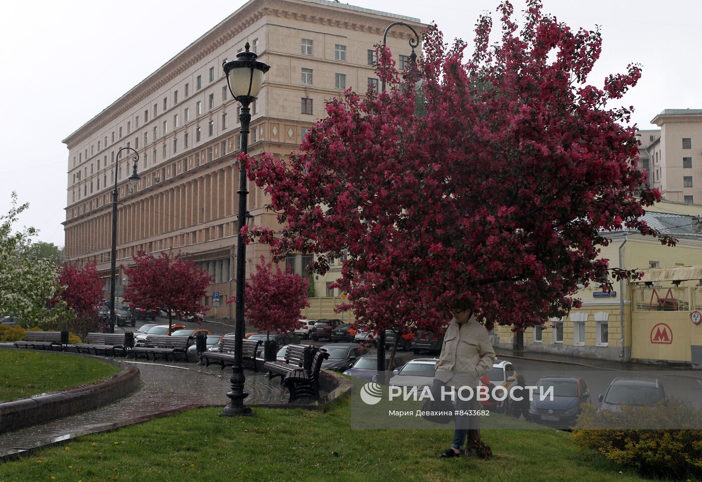 Цветение в Москве 