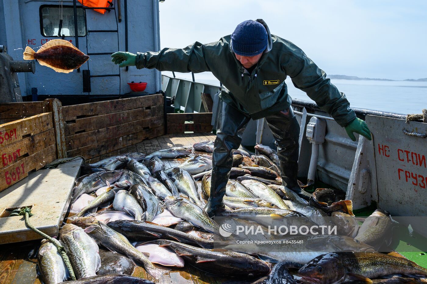 Промышленная ловля рыбы у берегов Курильских островов