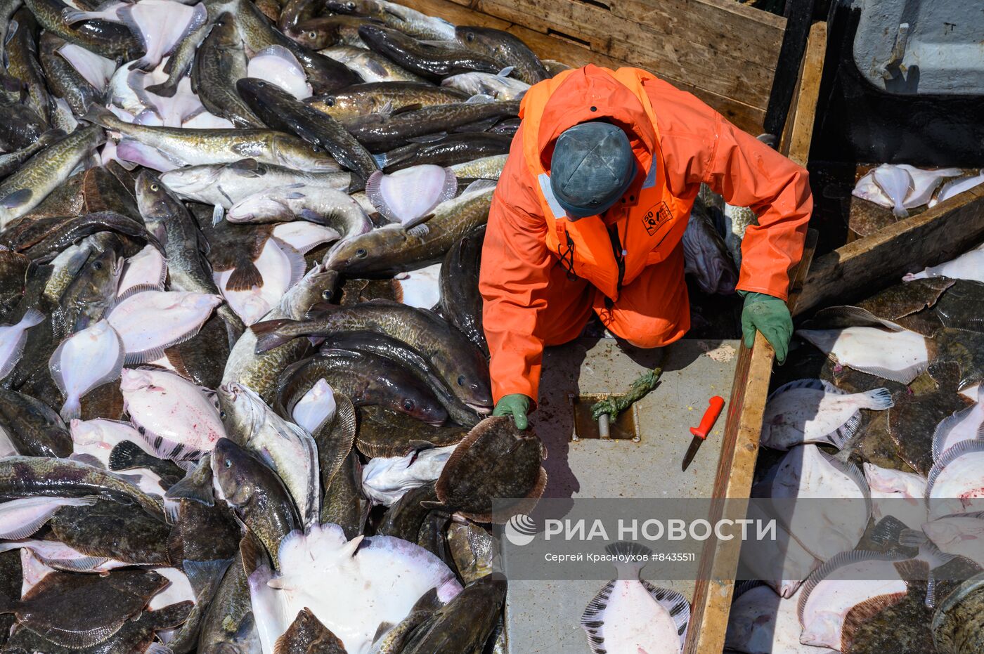 Промышленная ловля рыбы у берегов Курильских островов