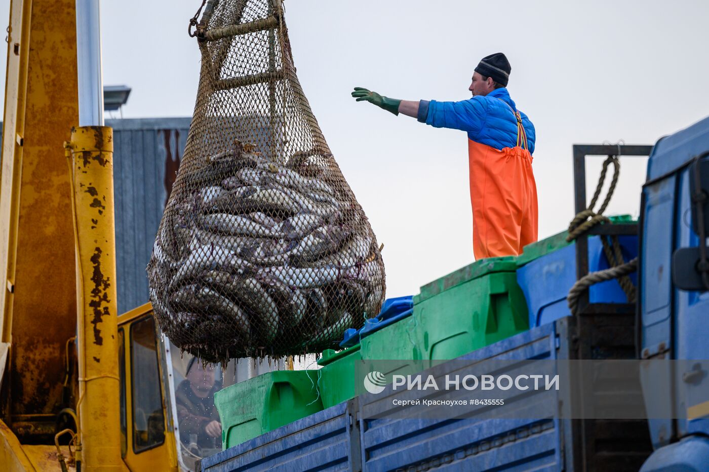 Промышленная ловля рыбы у берегов Курильских островов