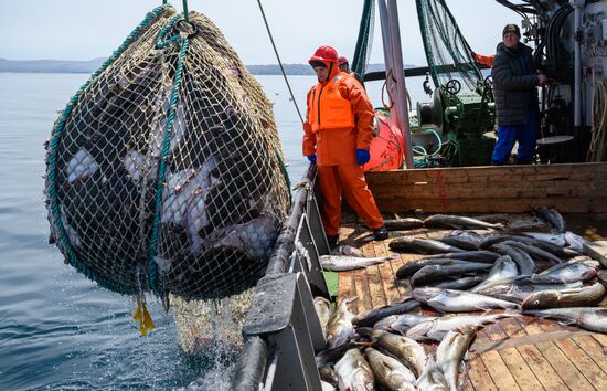 Промышленная ловля рыбы у берегов Курильских островов
