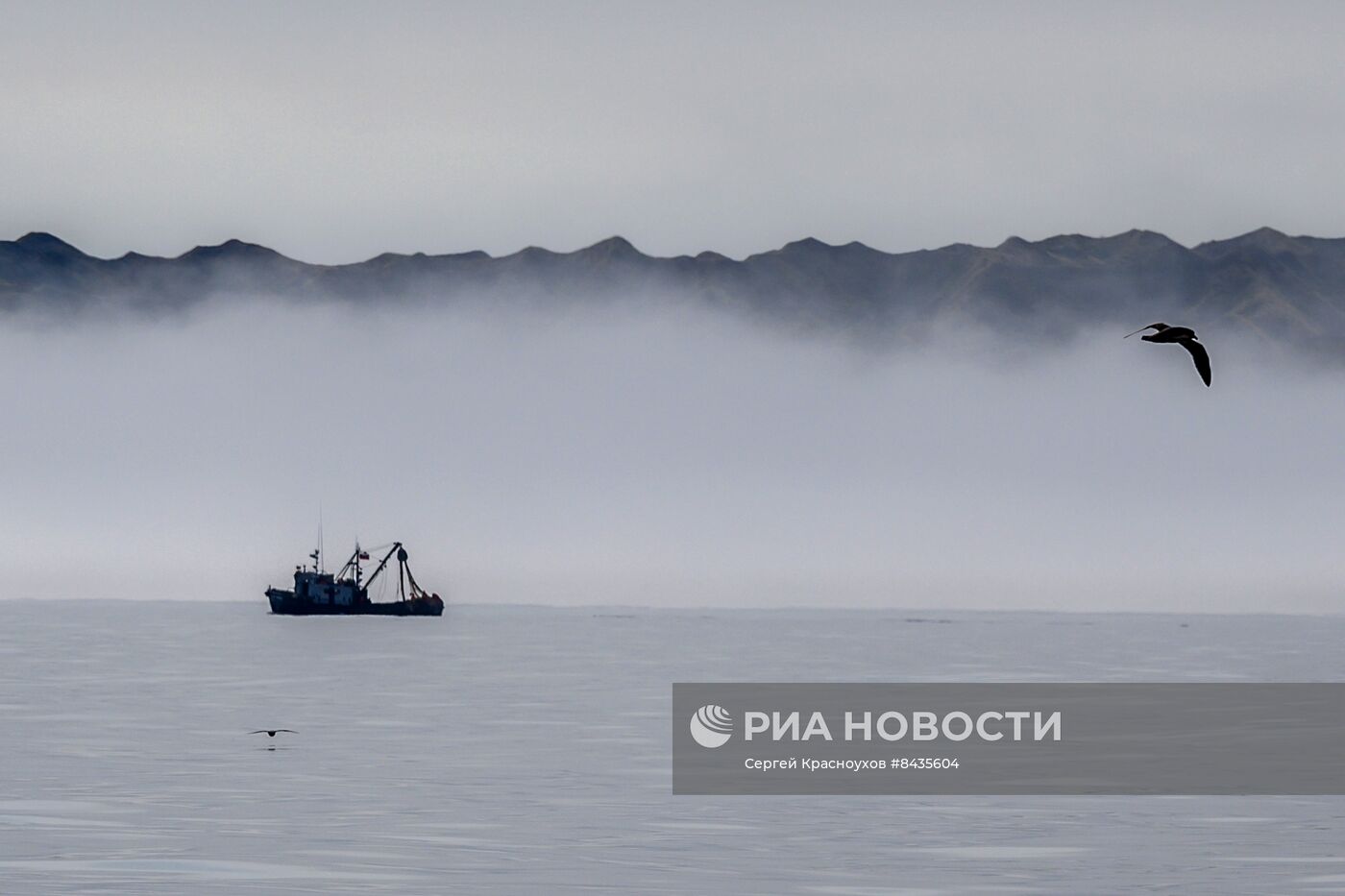 Промышленная ловля рыбы у берегов Курильских островов