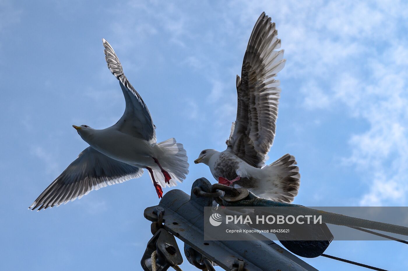 Промышленная ловля рыбы у берегов Курильских островов