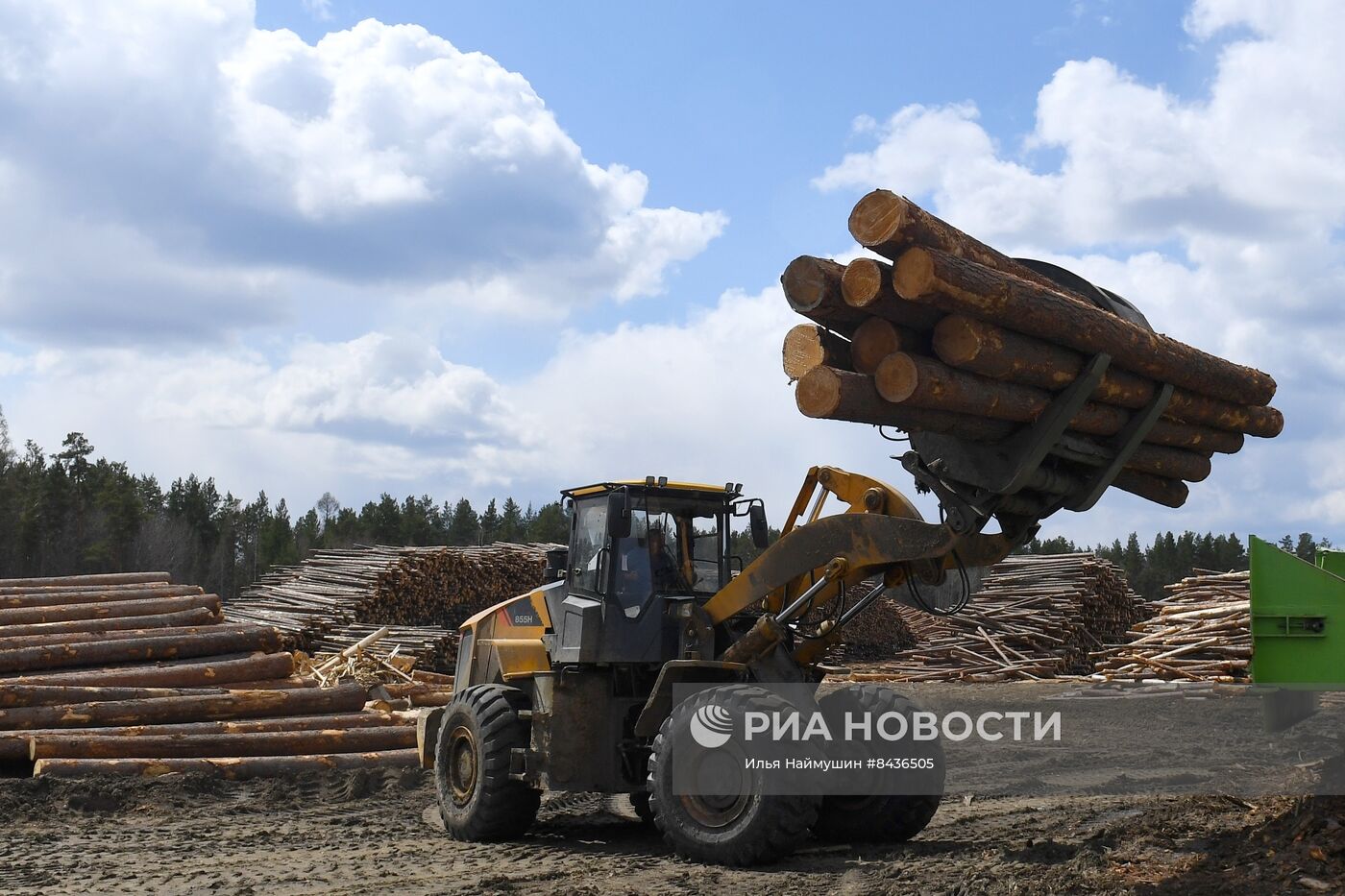 Предприятие лесозаготовки "Центр Сибири" в Красноярском крае