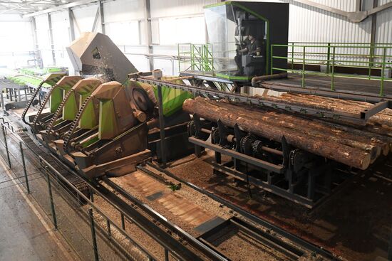 Предприятие лесозаготовки "Центр Сибири" в Красноярском крае