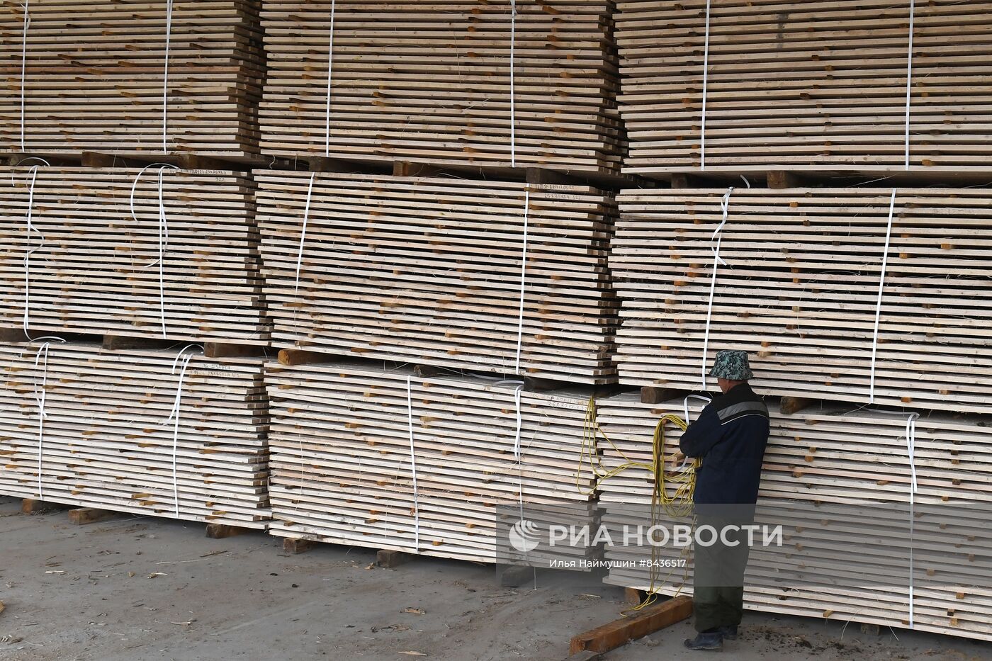 Предприятие лесозаготовки "Центр Сибири" в Красноярском крае